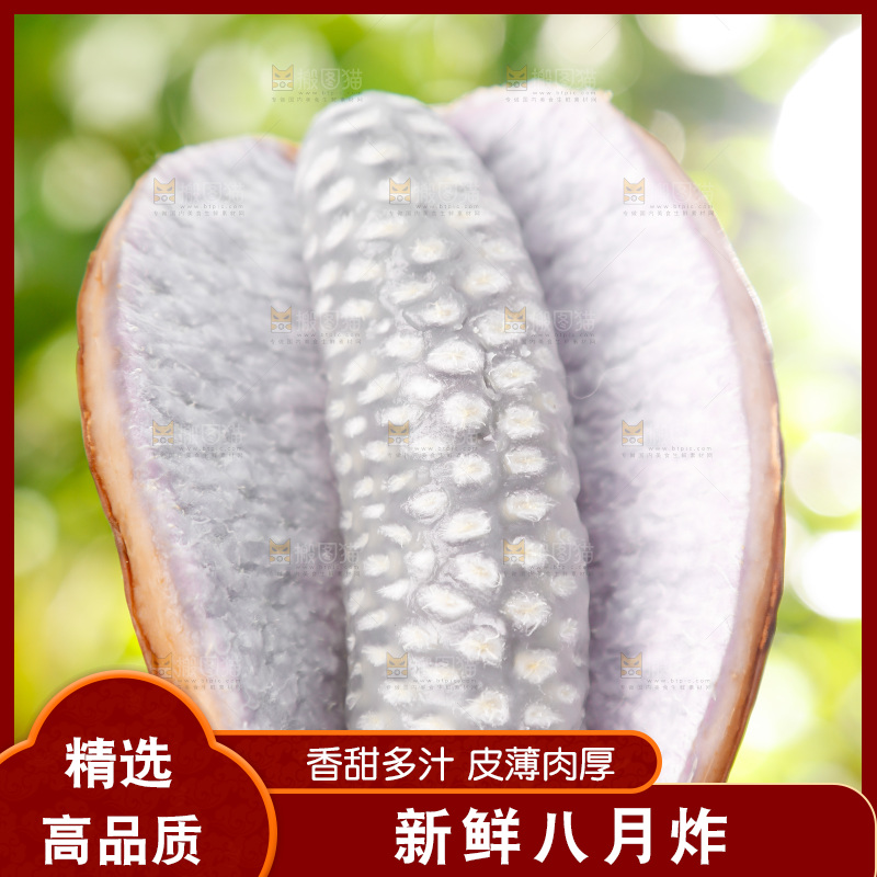 手里拿着新鲜八月瓜