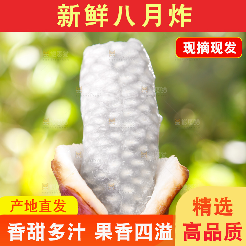 手里拿着云南八月瓜