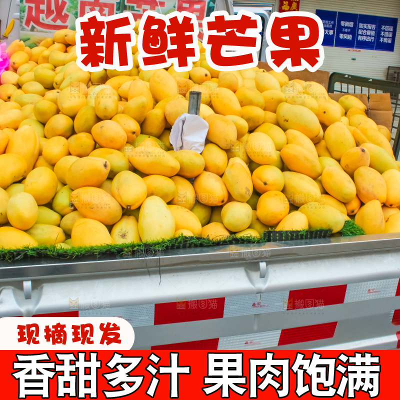 车子上的芒果