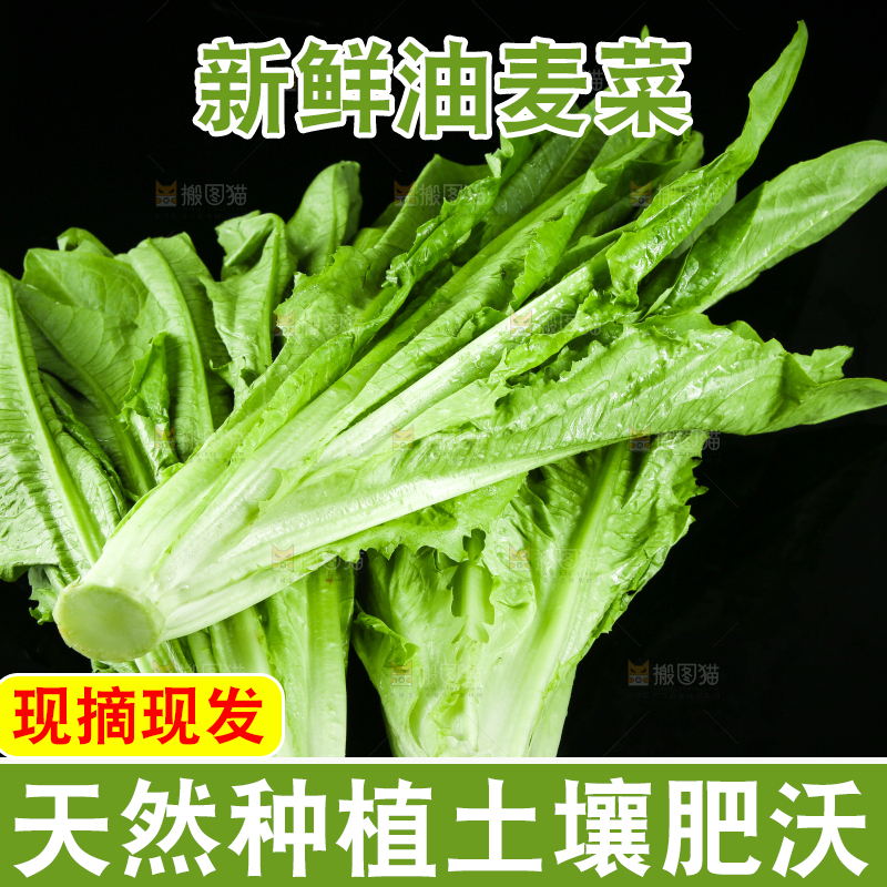 黑底上摆放着油麦菜