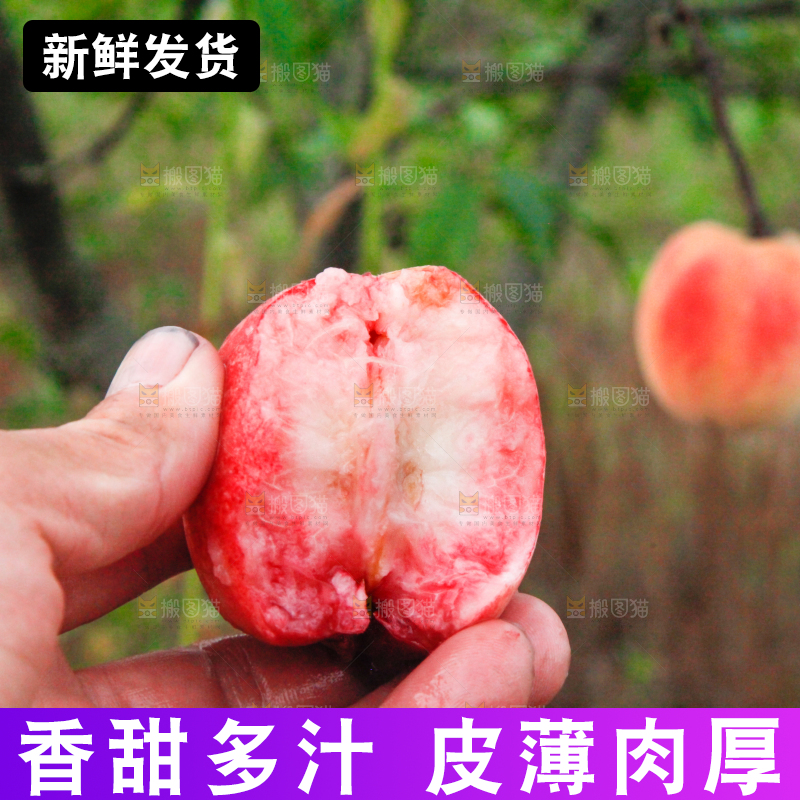 手里拿着桃子
