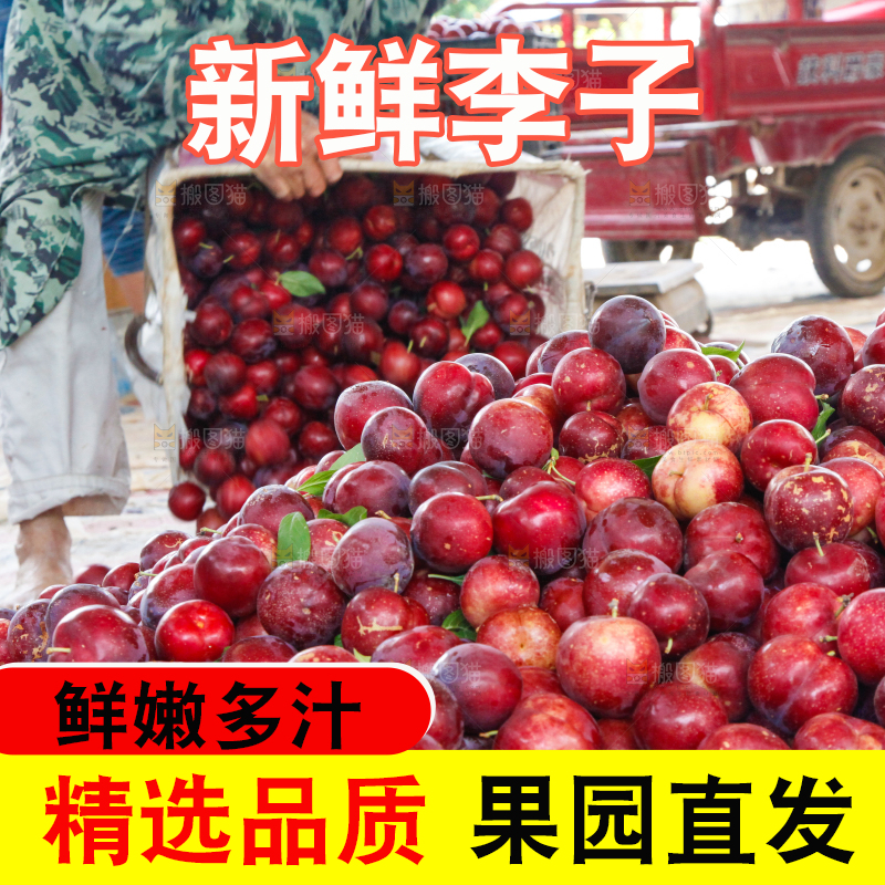 框子里装着红布林