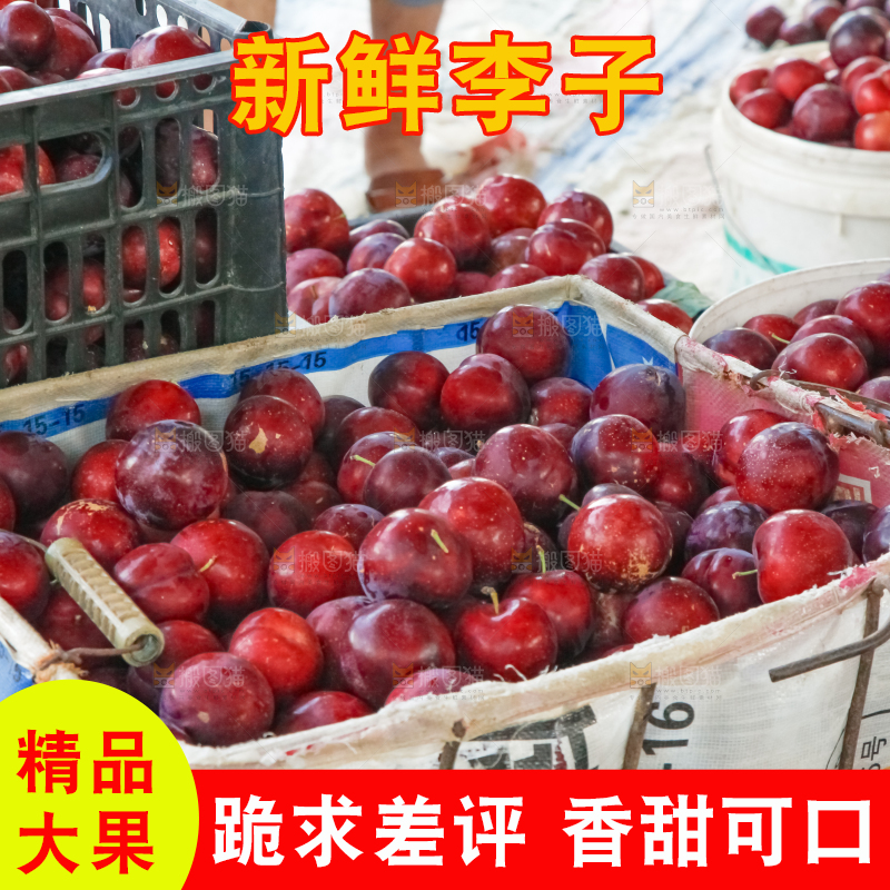 框子里装着红布林