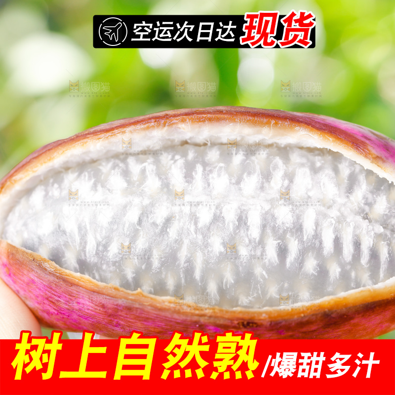 手里拿着新鲜八月瓜