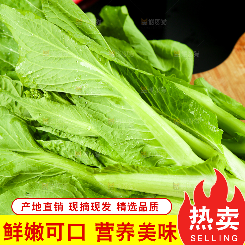 黑底上放着菜薹