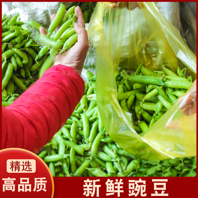 袋子里装着豌豆