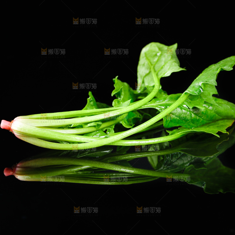 黑底上的菠菜