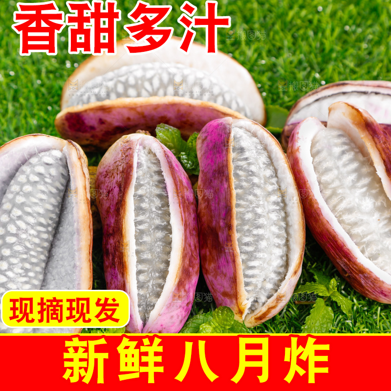 草地上的八月瓜