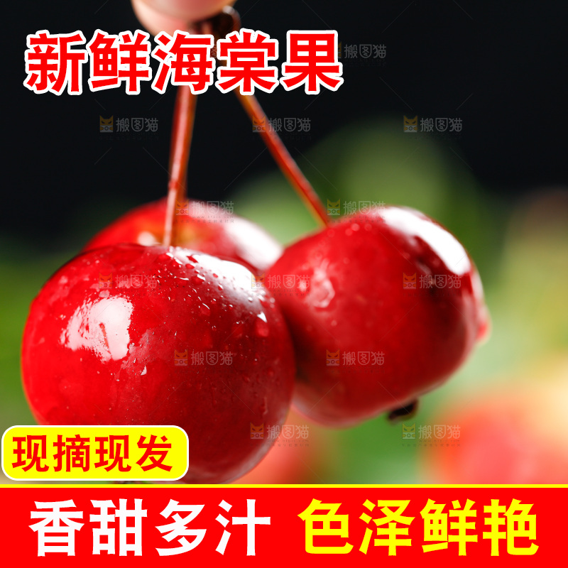 手拿新鲜海棠果