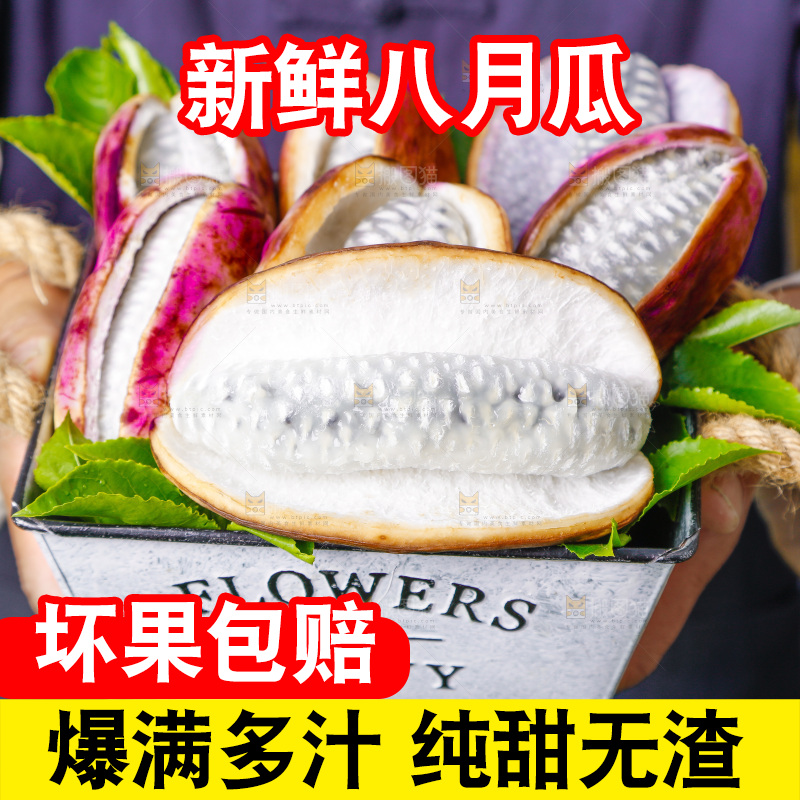手里拿着新鲜八月瓜