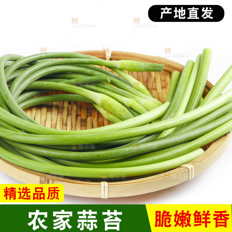 白底上摆放着蒜苔