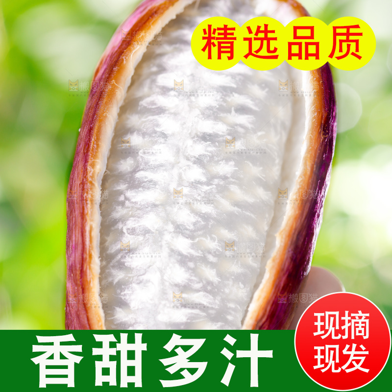 手里拿着新鲜八月瓜