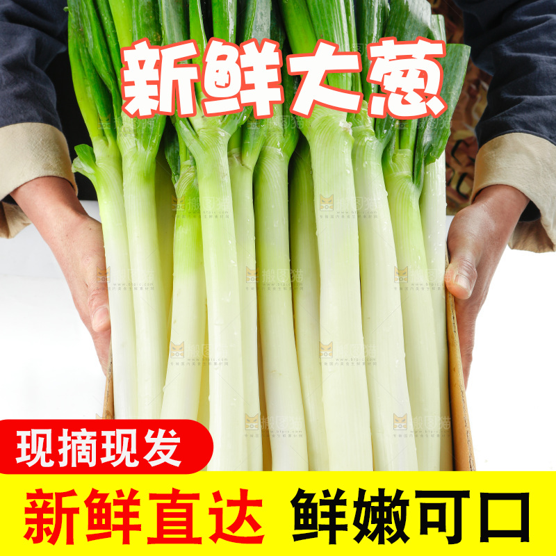 白底上的大葱