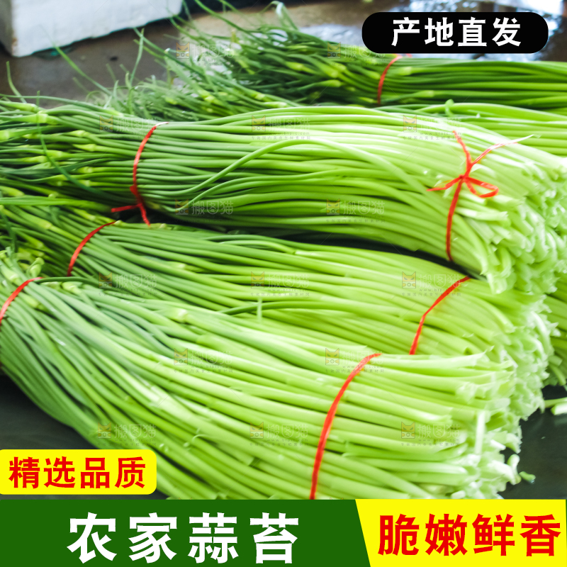 桌子上放着蒜苔