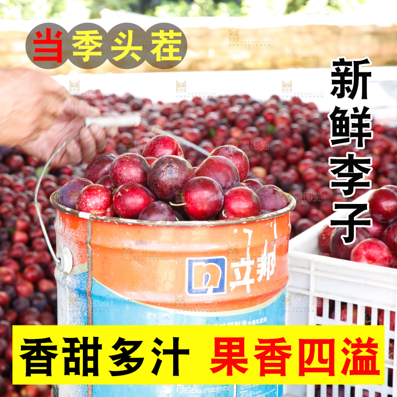 框子里装着红布林