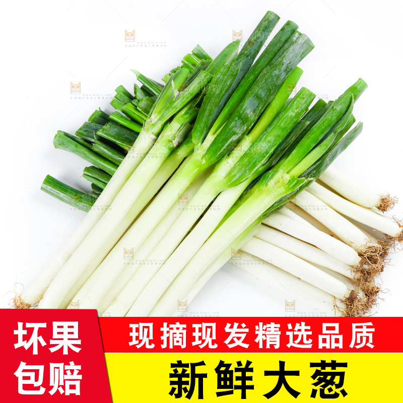 白底上的大葱
