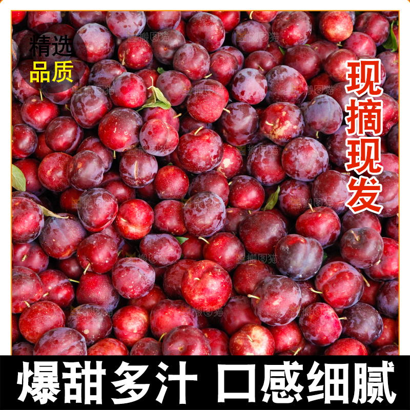 框子里装着红布林