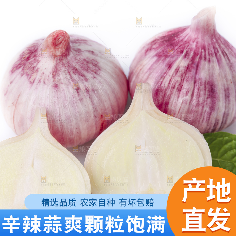白底上放着云南独蒜