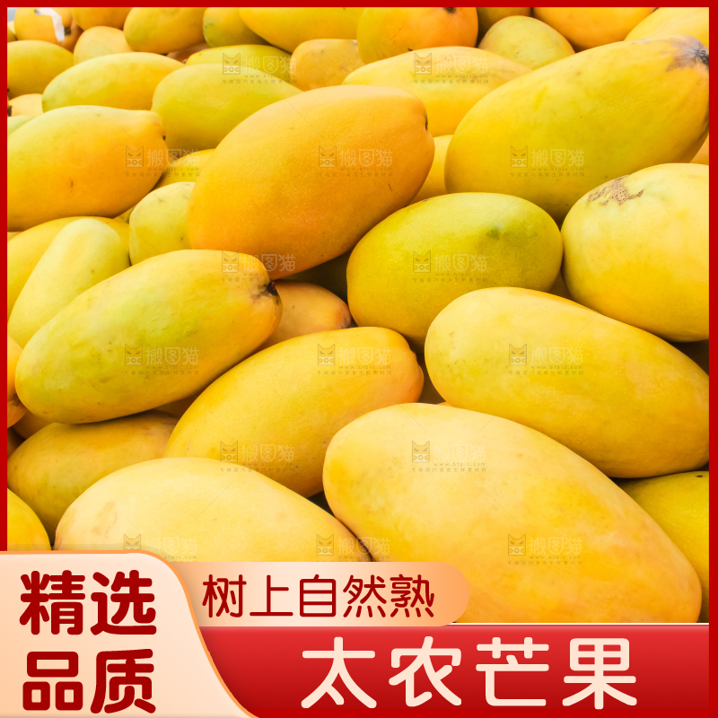 车子上的一堆芒果