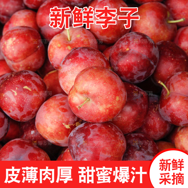 框子里装着红布林