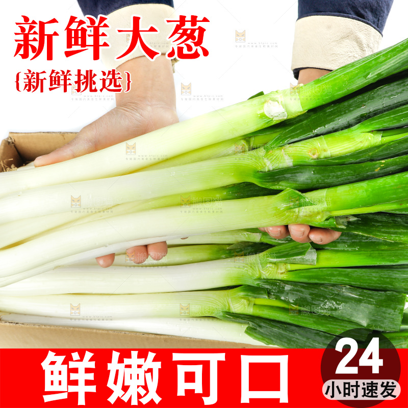 白底上的大葱