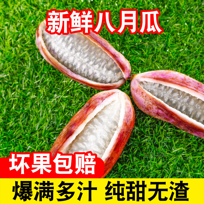 草地上的八月瓜