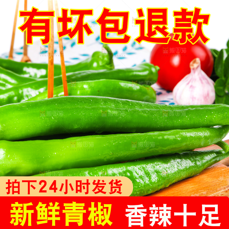 浅底上放着山东新鲜青椒
