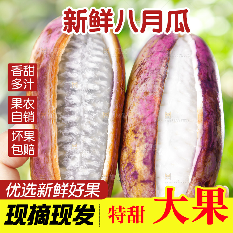 手里拿着新鲜八月瓜