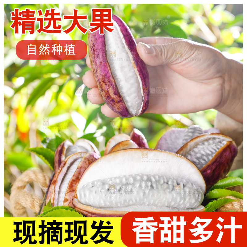 手里拿着新鲜八月瓜