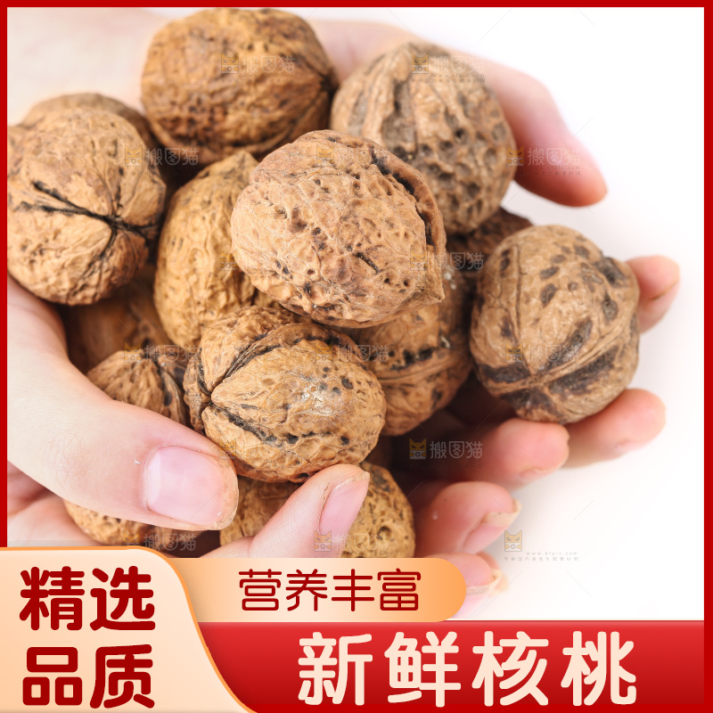 手里捧着大核桃