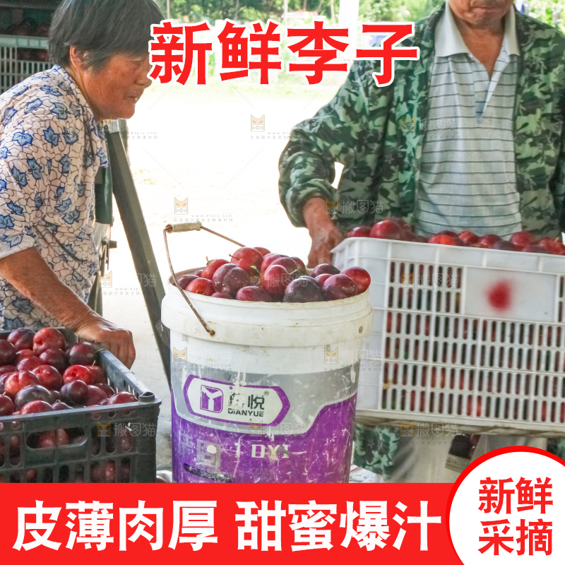 框子里装着红布林