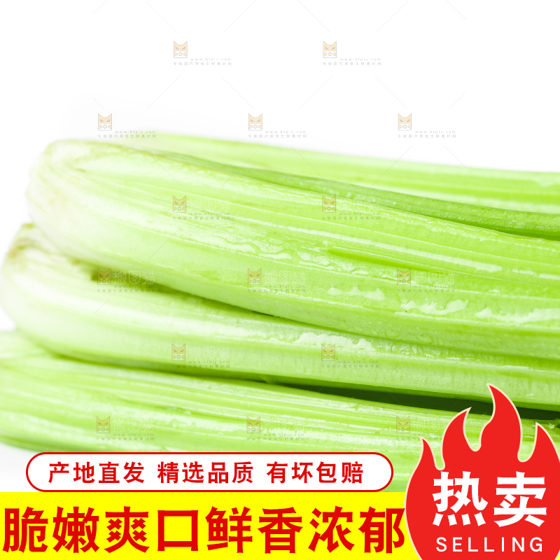 白底上放着新鲜芹菜