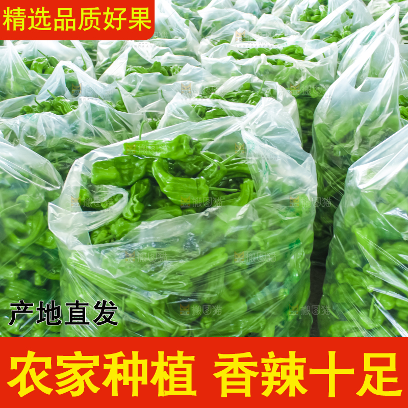 袋子里装着青辣椒