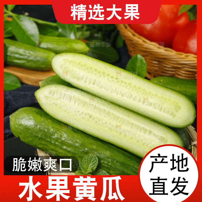 一筐新鲜的荷兰小青瓜放在黑底上