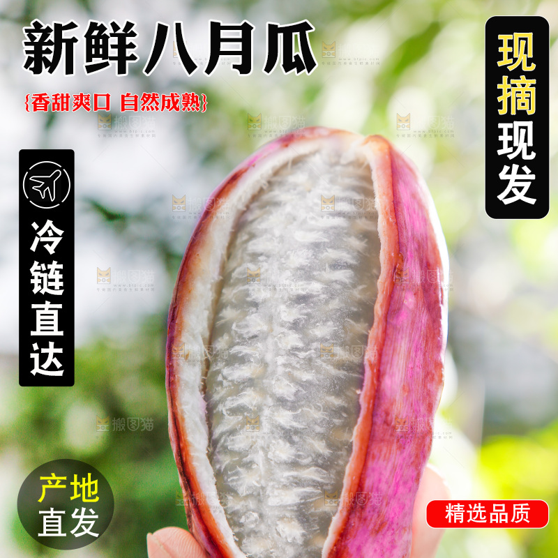 手里拿着新鲜八月瓜