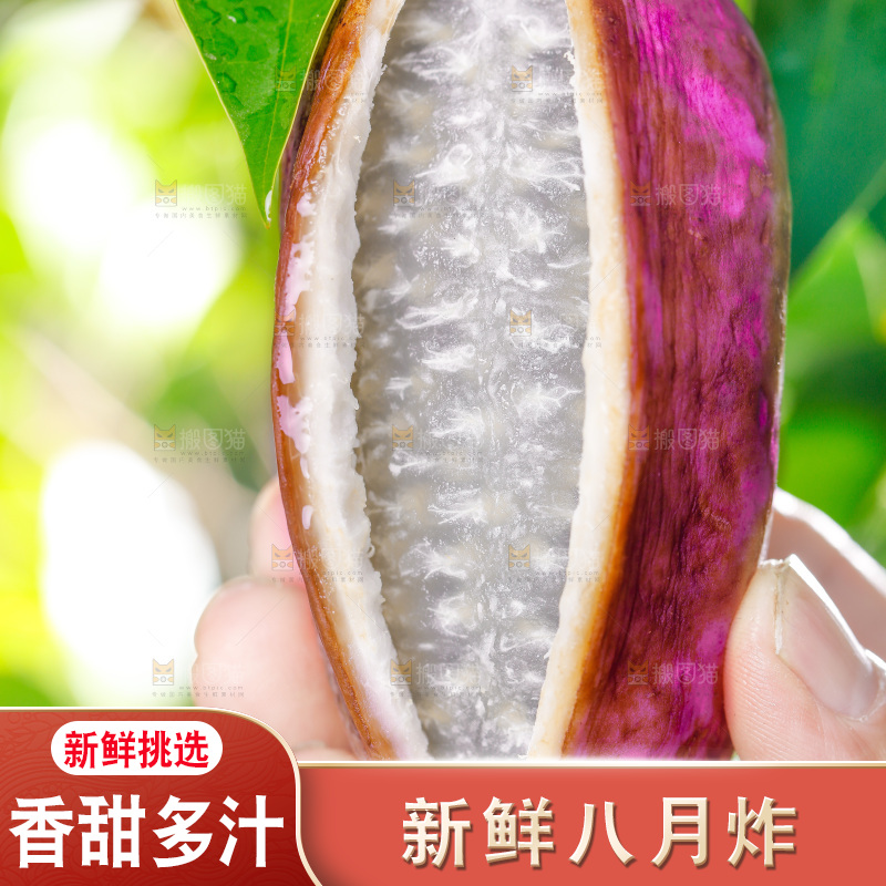 手里拿着新鲜八月瓜