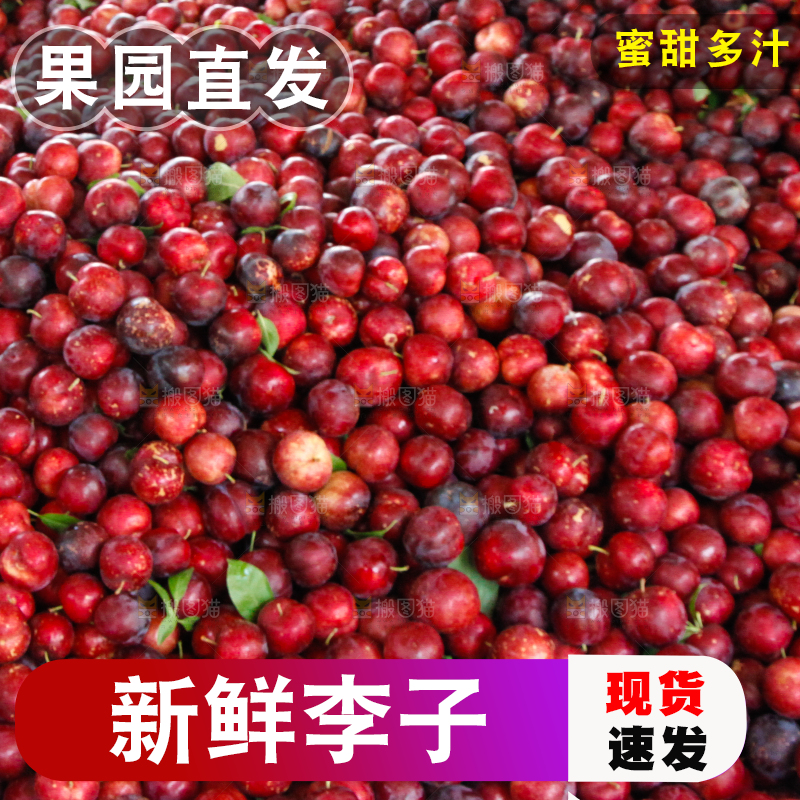 一堆红布林