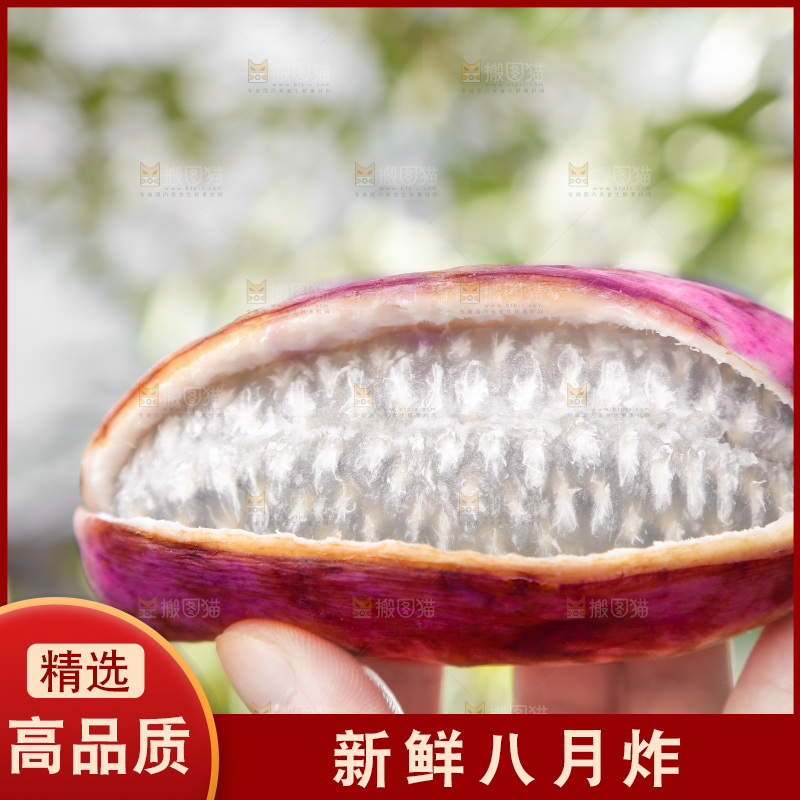 手里拿着新鲜八月瓜