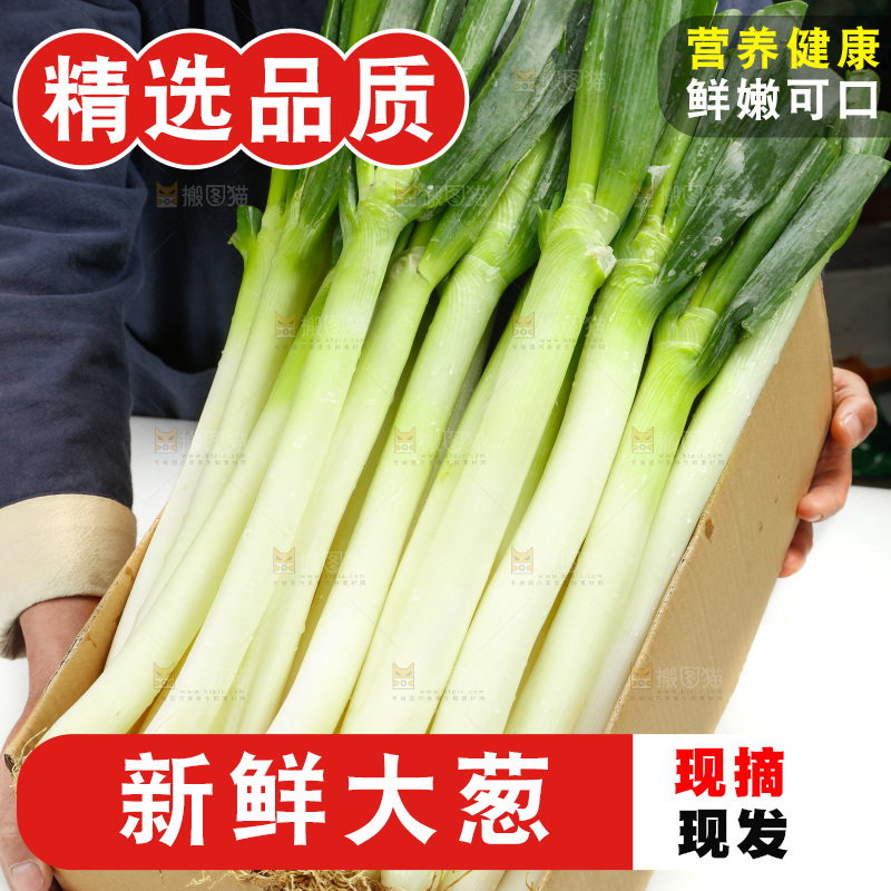 白底上的大葱