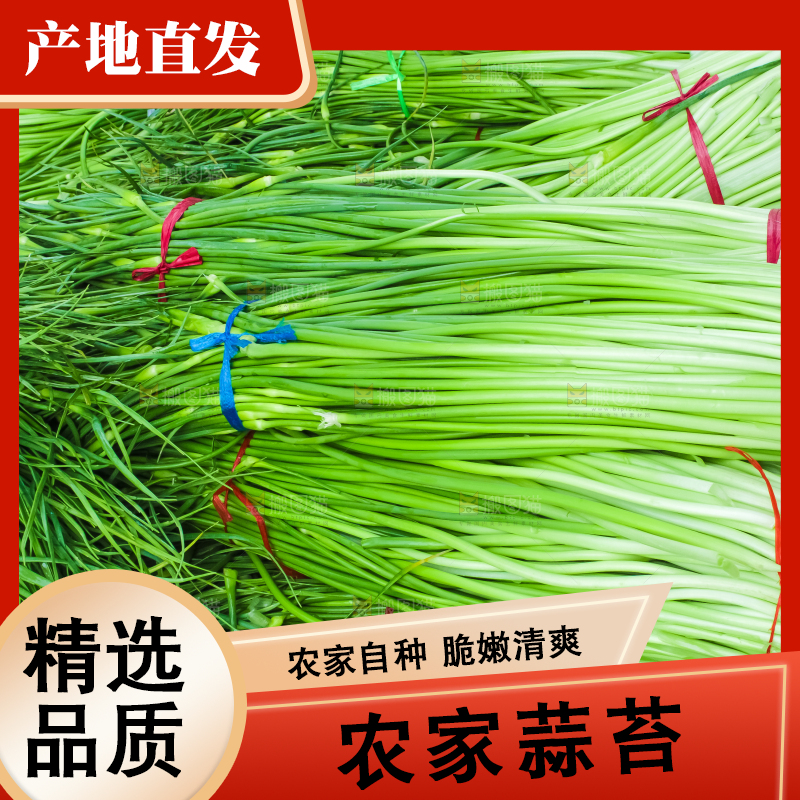 一堆新鲜蒜苔
