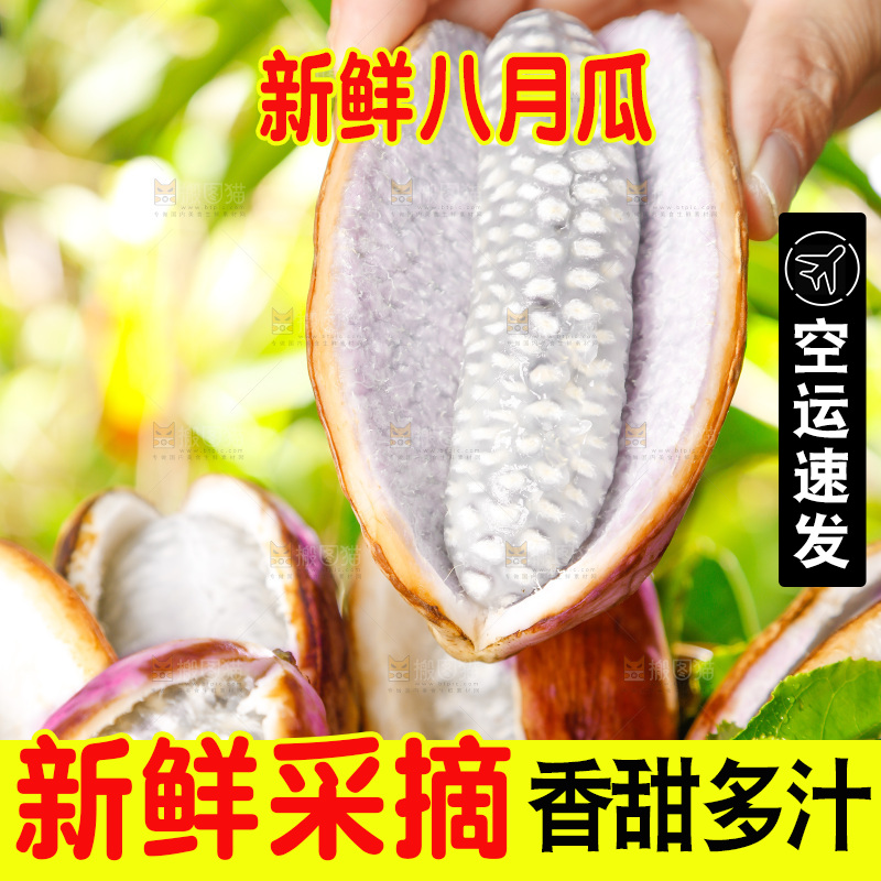 手里拿着新鲜八月瓜