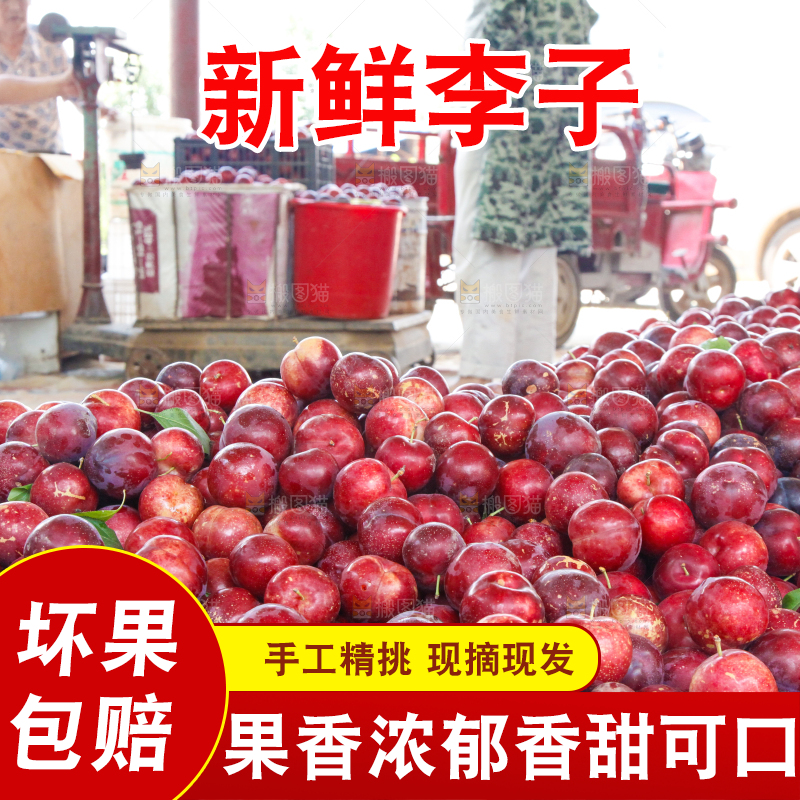 框子里装着红布林