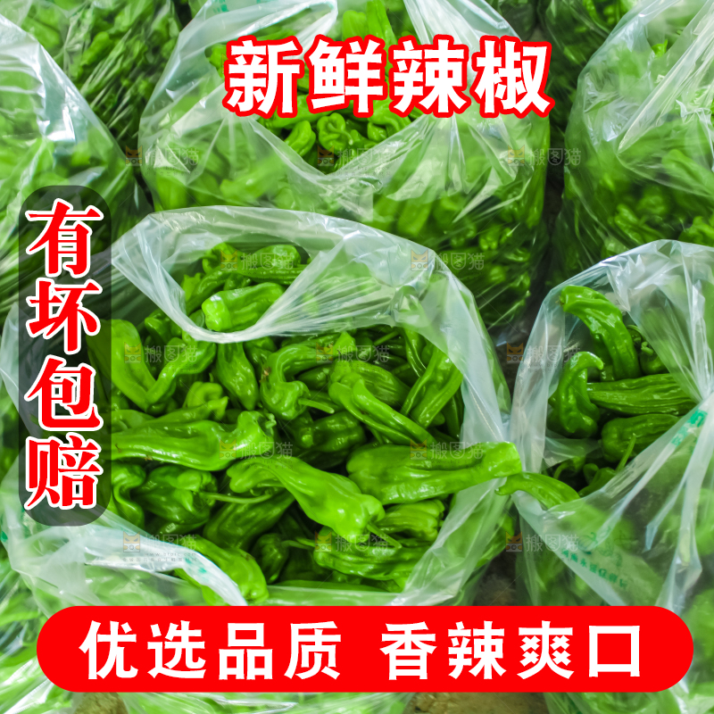 袋子里装着青辣椒