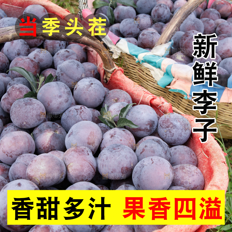 框子里装着红布林