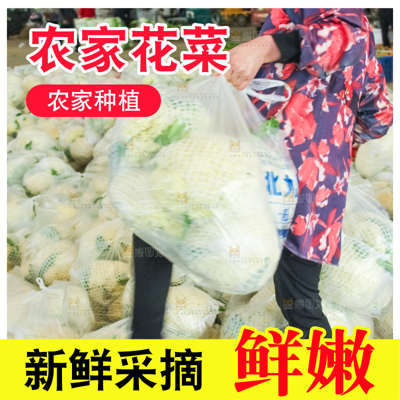 袋子里装着花菜