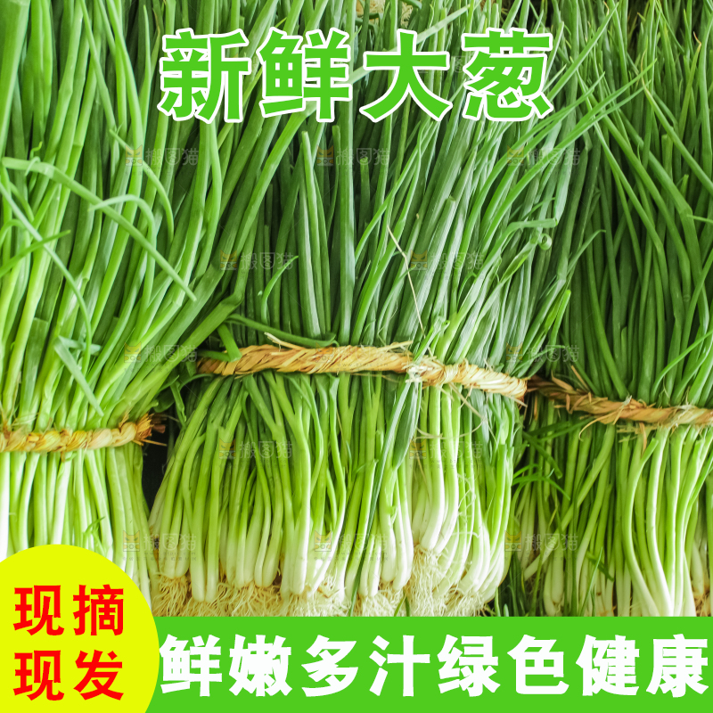 地上摆放着一堆大葱