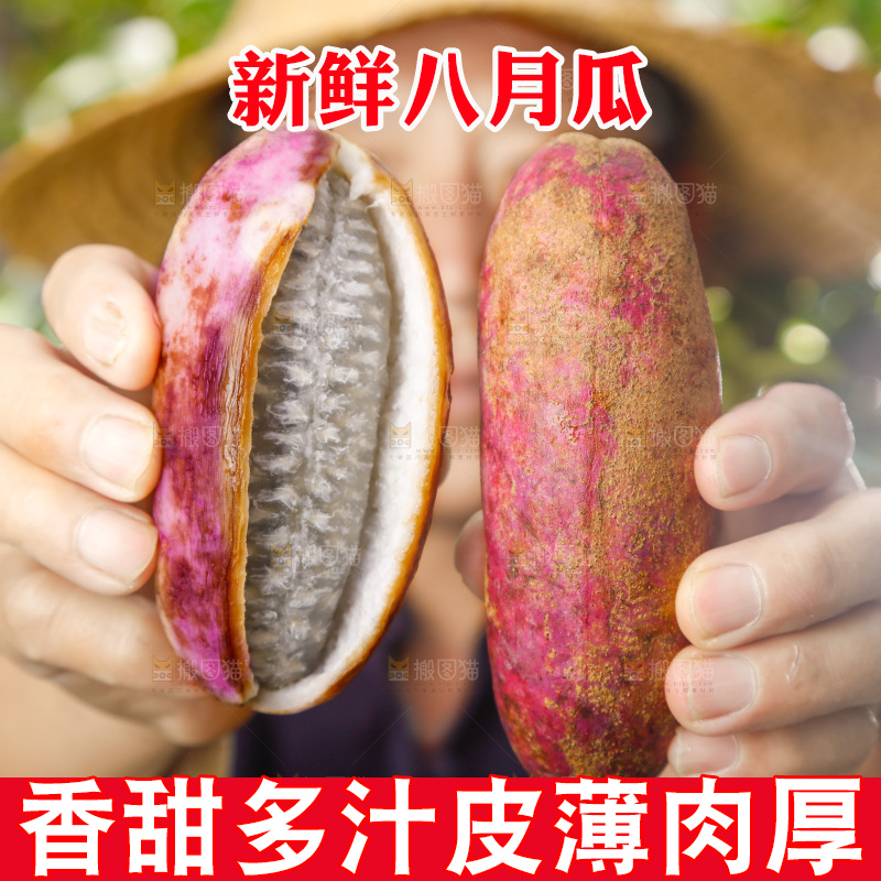手里拿着新鲜八月瓜