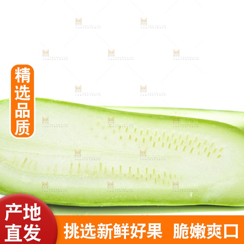 白底上摆放着茭瓜
