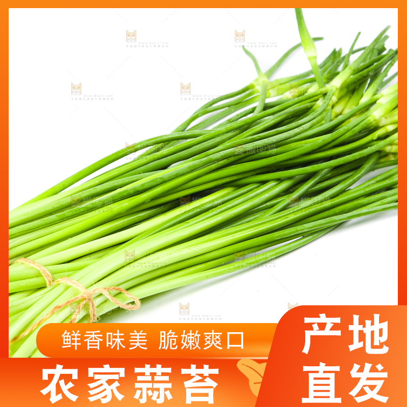 白底上放着新鲜蒜苔