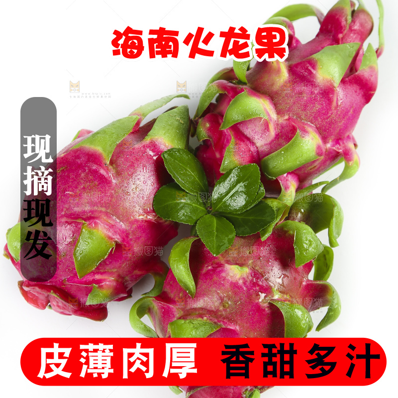 云南新鲜红心火龙果放在白底上